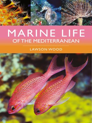 cover image of Marine Life of the Mediterranean